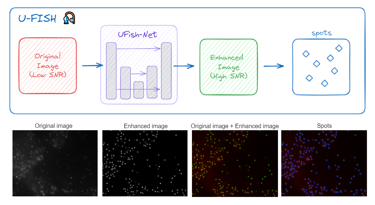 U-FISH Overview